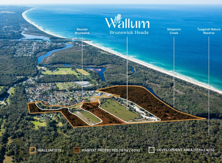 Protected area to save at Wallum